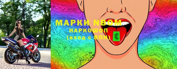 apvp Алзамай